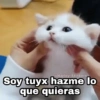 @Harley_Stickers Soy tuyx que quieras