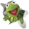 🐸Kermit The Frog💚 12