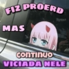 FIZ PROERD MAS Bonexn Continuo VICIADA NELE