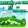 GRATIDÃO pela VIDA FE na CAMINHADA... W