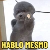 HABLO MESMO
