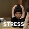 STRESS