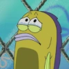 Patrick 12