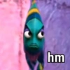 hm