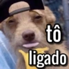 tô ligado