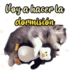 ✰ Voy a hacer la dormisión Giseelove
