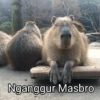 Nganggur Masbro