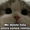 Me dijiste hola ahora somos novios