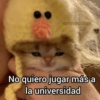 @saquenmedelau No quiero jugar más a la universidad