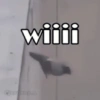 wiiii