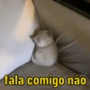 fala comigo não