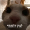 procrastinar me está arruinando la vida