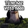 Tú no haz visto nada @rose.stickers1