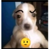 Stickers Randoms 24