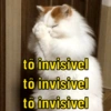 tô invisivel tô invisivel tô invisivel
