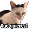 Qué quieres?
