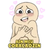 AIN MEU CORACAOZIN