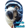 hora de conducir