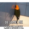 DEJAME, ME LASTIMASTE.