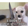 A QUIEN SE ATREVA A FASTIDIARTE