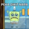 PEKA DIKIT NAPA 00 D