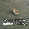 @Harley Stickers Ya no quiero hablar contigo