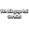 Yeh bik gaye hai Gormint
