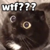 wtf??? e
