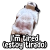 I'm tired (estoy tirado)