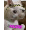 eu só queria tum INUDE