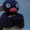 O
O