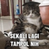 SEKALI LAGI TAMPOL NIH