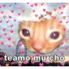 teamo mu cho