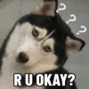??? RUOKAY3