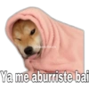@baewhorx Ya me aburriste bai