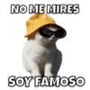 NO ME MIRES SOY FAMOSO