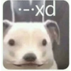 .-.xd