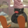 Pingu  27