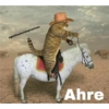 @gatitos4ntidepresivos Ahre