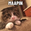 MAAPIN
