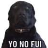 YO NO FUI