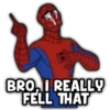 BRO, I REALLY FELL THAT