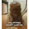DIAM !!! @nnn AKU SEDANG ANGWY SAMA KM.