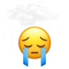 Memes IV 13