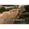 Gak enak Masbro