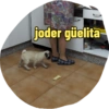 joder güelita