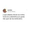 semideia @tosemideiapo_ o que adianta chover na minha horta se a plantinha q eu gosto não quer ser da minha terra