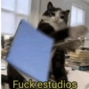 @fans.cats.garo Fuck estudios