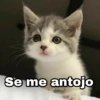 Se me antojo @Harley_Stickers