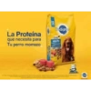 La Proteína que necesita para Tu perro momazo adult 12 Pedigree CARNE adulto Spa